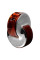 BVLGARI Omnia