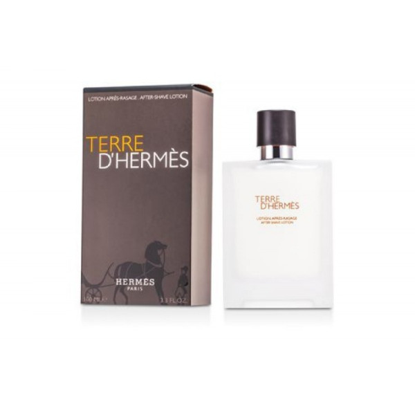 Купить Terre d'Hermes | Parfuland