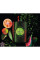 Yves Saint Laurent Black Opium Illicit Green