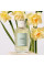 Chloe Narcissus Poeticus