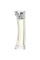 Elizabeth Arden Provocative Women