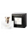 BVLGARI Splendida Patchouli Tentation