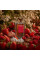 Aziri Paris Fragola