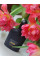 Tom Ford Black Orchid Eau de Toilette