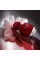 Givenchy L`Interdit Rouge Ultime