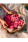 Montale Oud Fool Roses